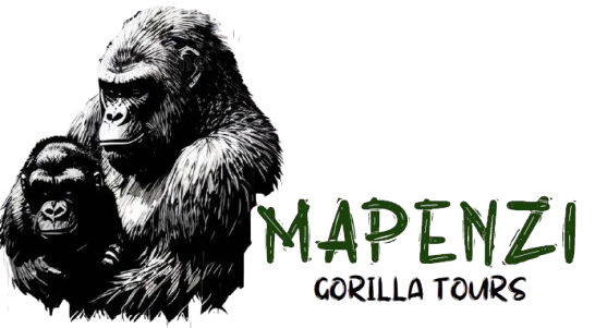 Mapenzi Gorilla Tours